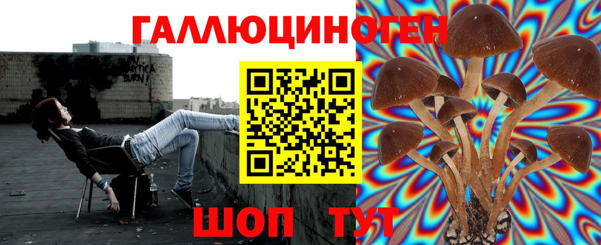 Галлюциногенные грибы мухоморы Коряжма