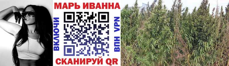 Каннабис семена где купить Коряжма